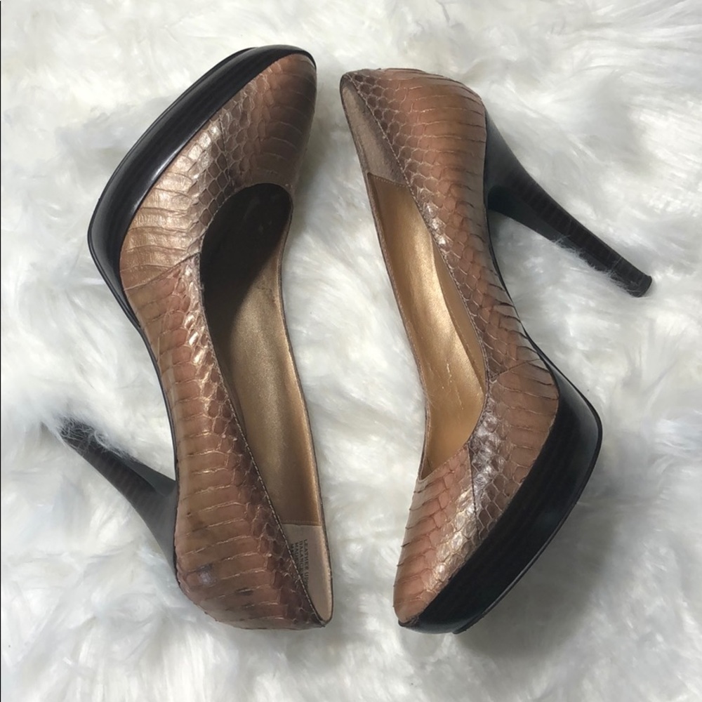 Ombré Snakeskin Platform Pumps.